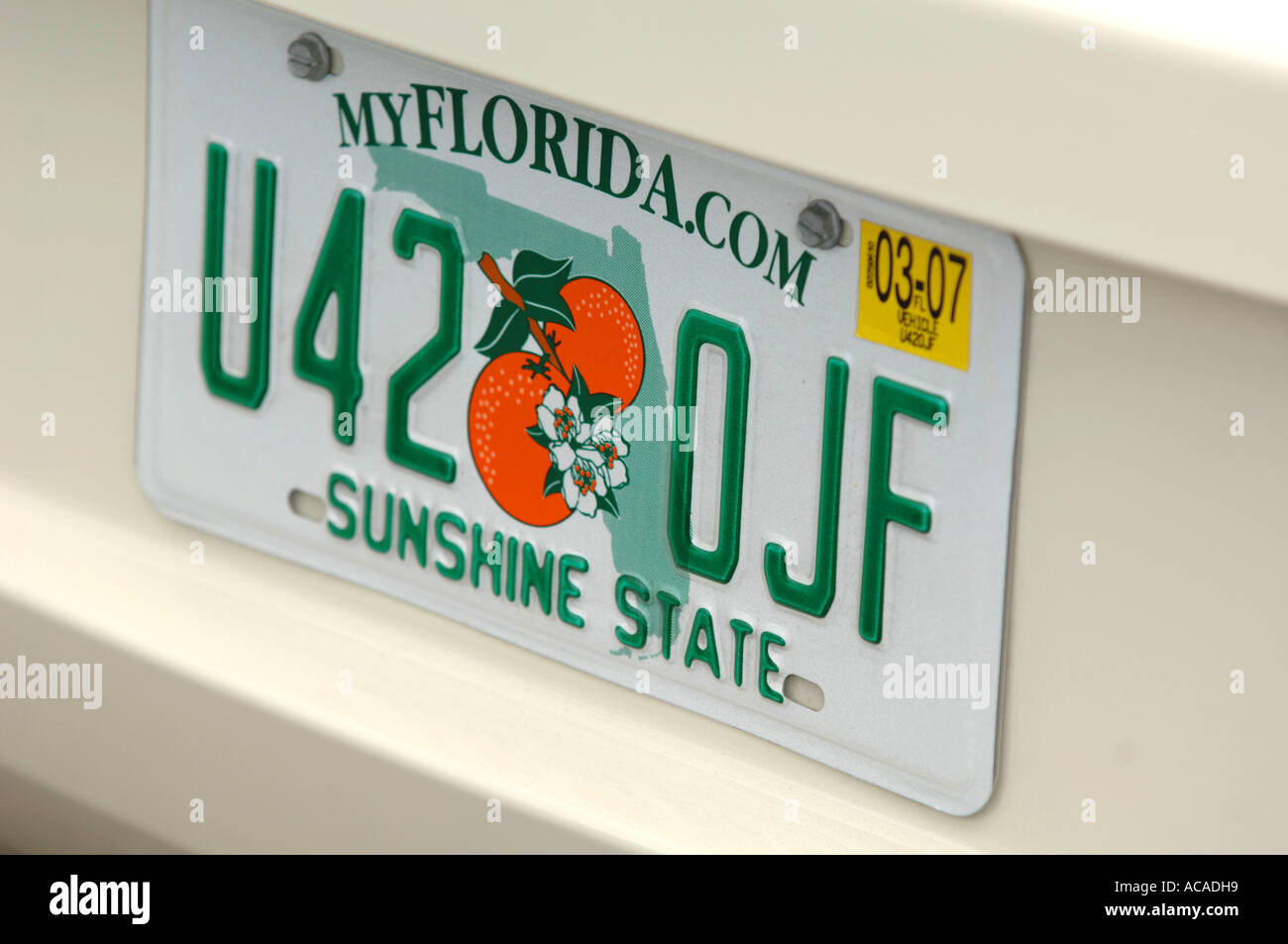 Kfz-Kennzeichen für Florida USA Stockfoto
