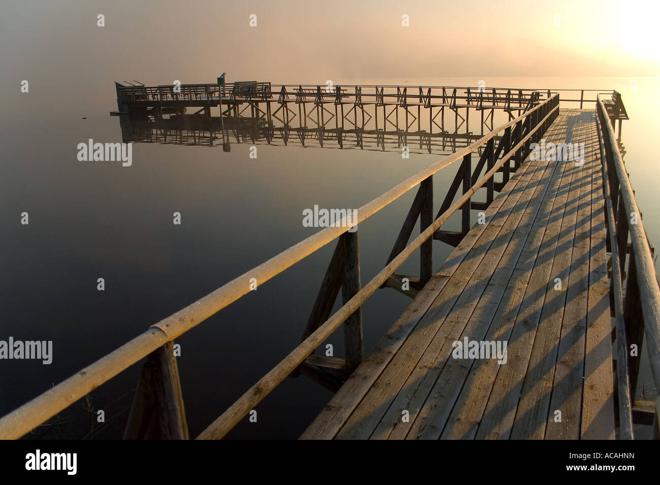 Sonnenaufgang, Federsee bei Bad Buchau, Oberschwaben, Baden-Württemberg, Deutschland Stockfoto