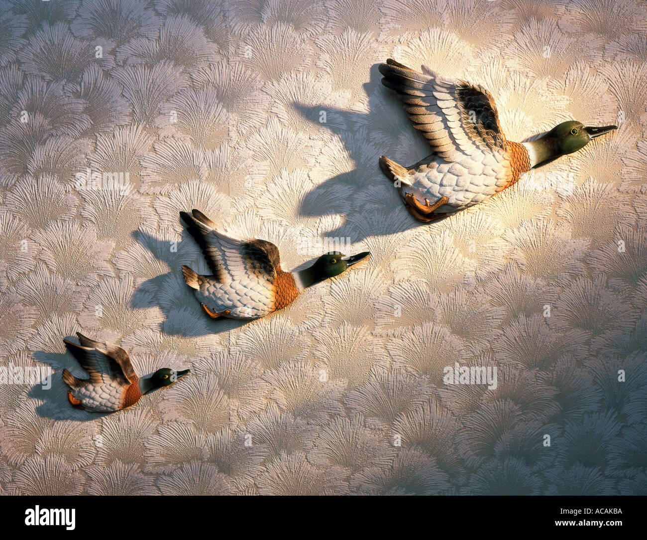 Drei fliegende Enten hängen an einer mit Tapeten versehenen Innenwand. Stockfoto
