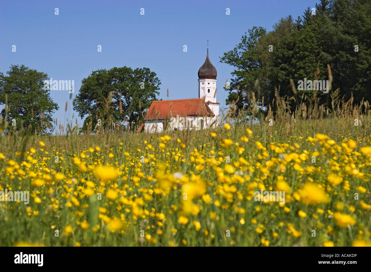 Kapelle mit blühenden Wiese, Hub Capel, Oberbayern, Deutschland Stockfoto
