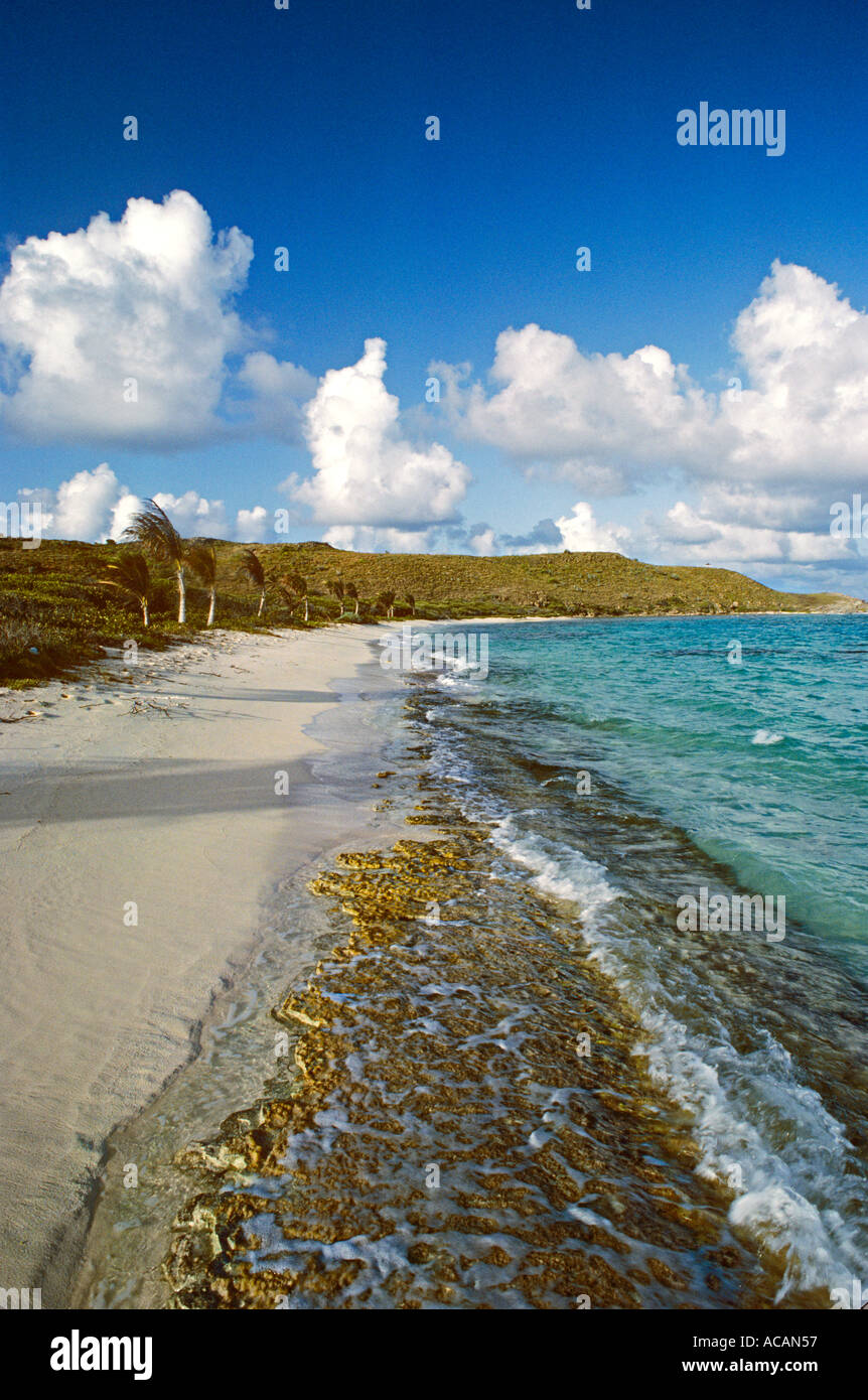 NECKER ISLAND natürlichen Korallen bildet am Gewässerrand von Sir Richard Branson Necker Island Strand Rückzug BVI Karibik Stockfoto