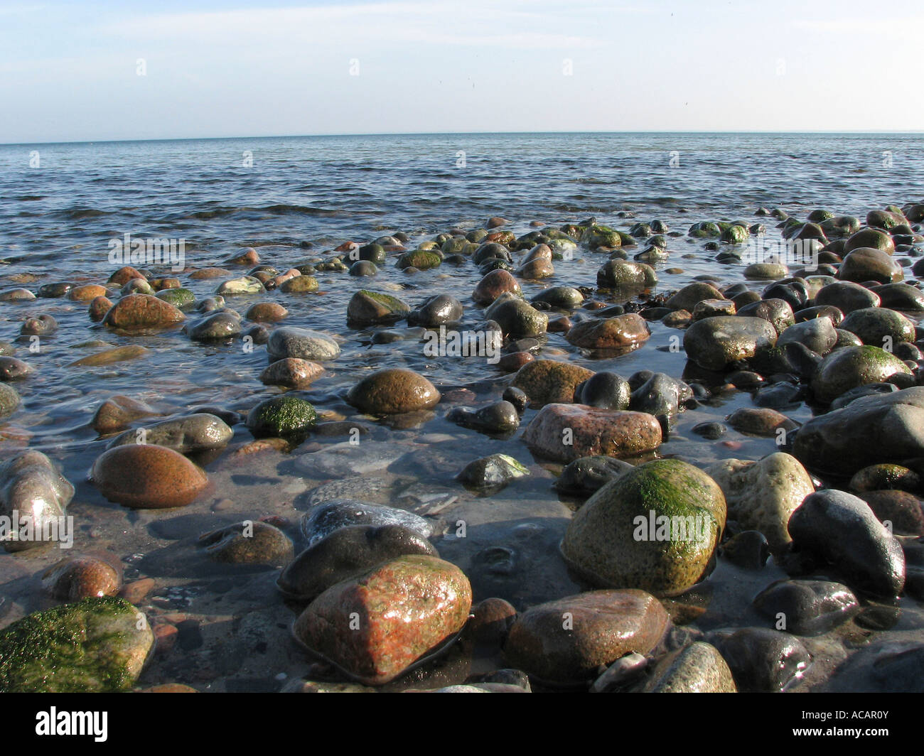 Steinen am Strand Rügen, Mecklenburg-Vorpommern, Deutschland Stockfoto