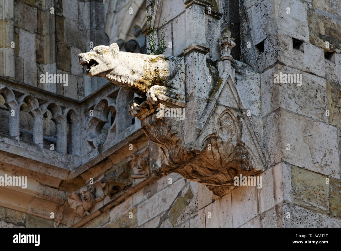 Wasserspeier, Dom St. Peter, Regensburg, Oberpfalz, Bayern, Deutschland Stockfoto