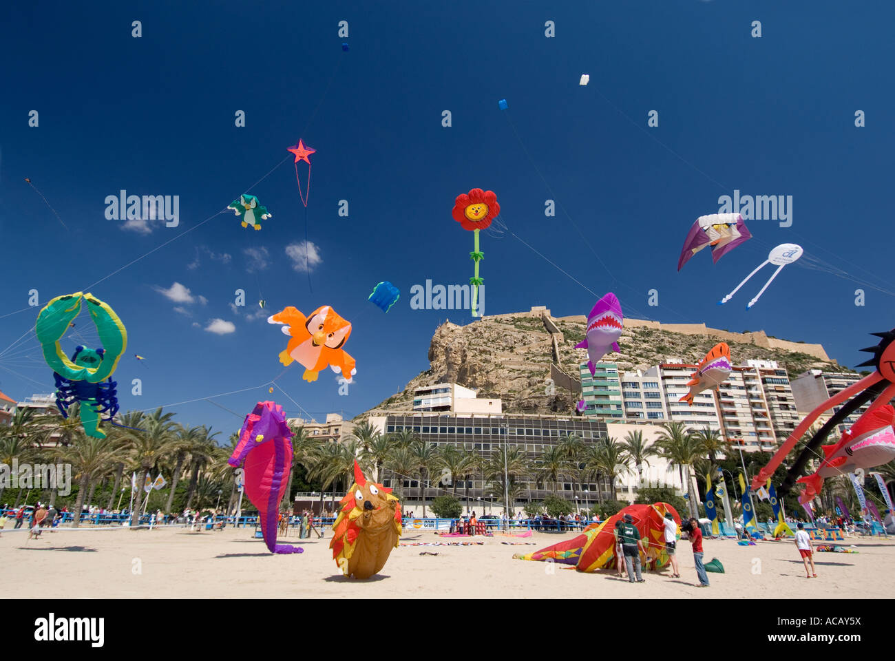 Drachen fliegen auf Playa de Postiguet Alicante Costa Blanca Spanien Stockfoto