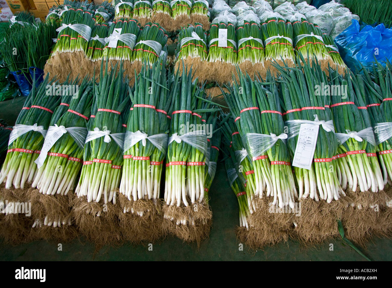 Co-Op produzieren Consolidator Jecheon Chungcheongbuk tun Provinz South Korea Stockfoto