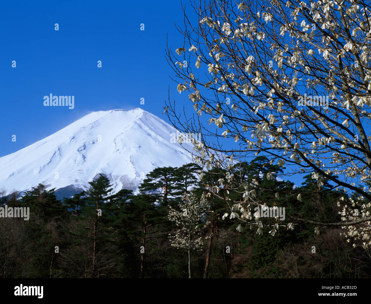 Fujiyama Mt. Fuji Stockfoto