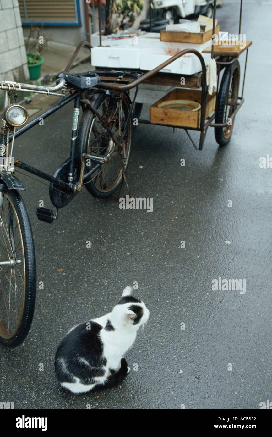 Tokyo Sentimental Stadt der Menschen Stockfoto