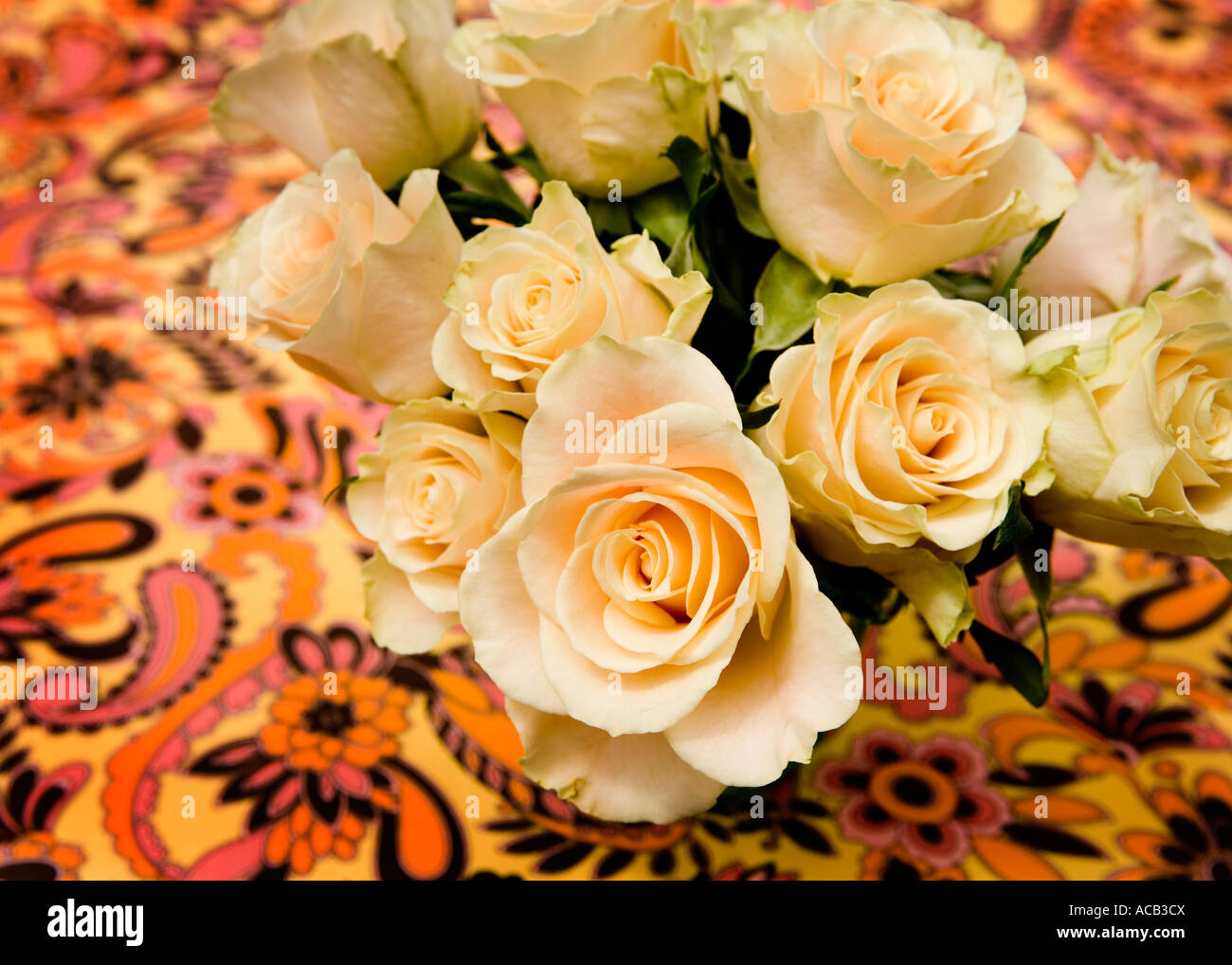 Cremefarbene Rosen gegen 'Retro-Stil' Stoff Tischdecke erschossen Stockfoto