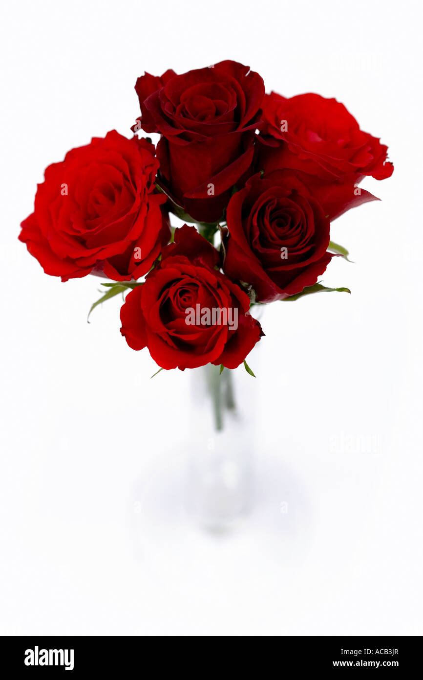 Eine Auswahl an dunklen und hellen roten Rosen in einer Glasvase angeordnet und von oben geschossen. Stockfoto