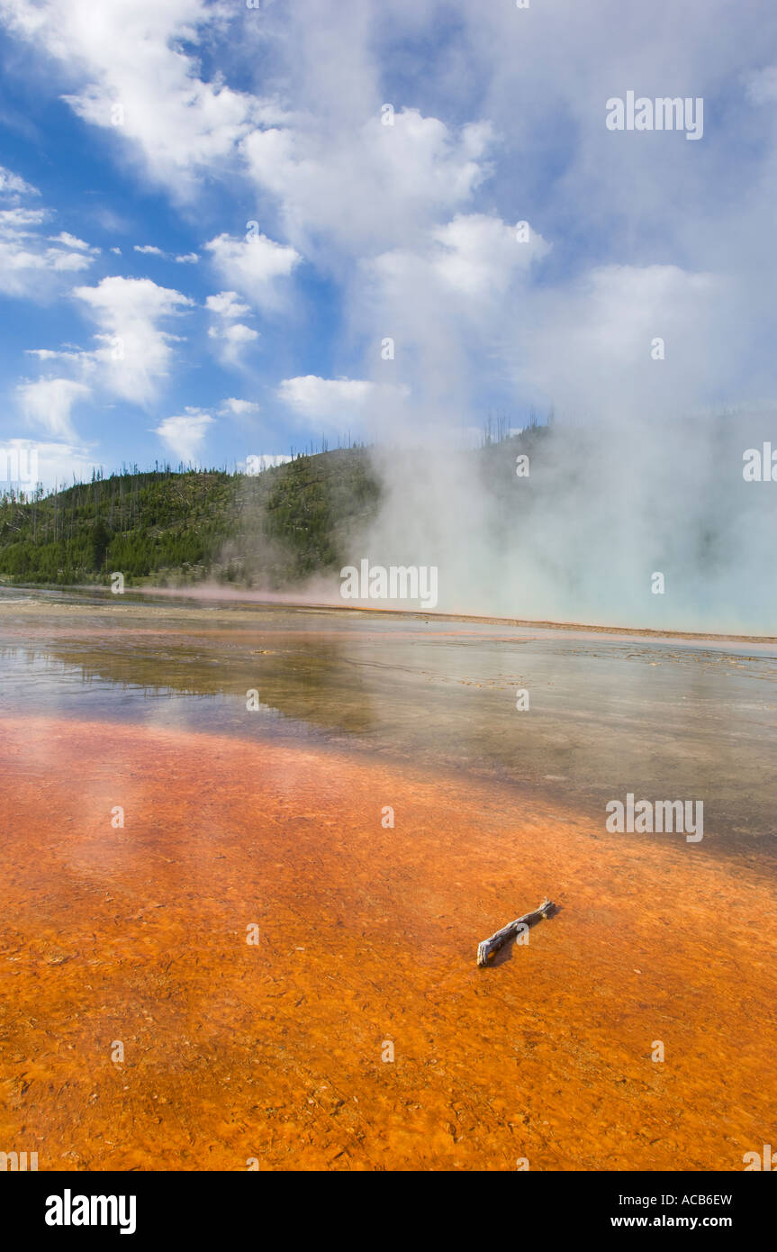 Szene eines geothermischen Gebiets im Yellowstone National Park. Stockfoto