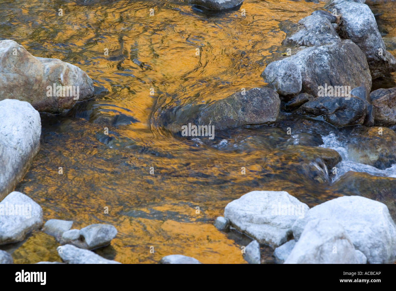 Herbst Reflexionen auf dem Fluss Plima, Martello-Tal, Italien Stockfoto
