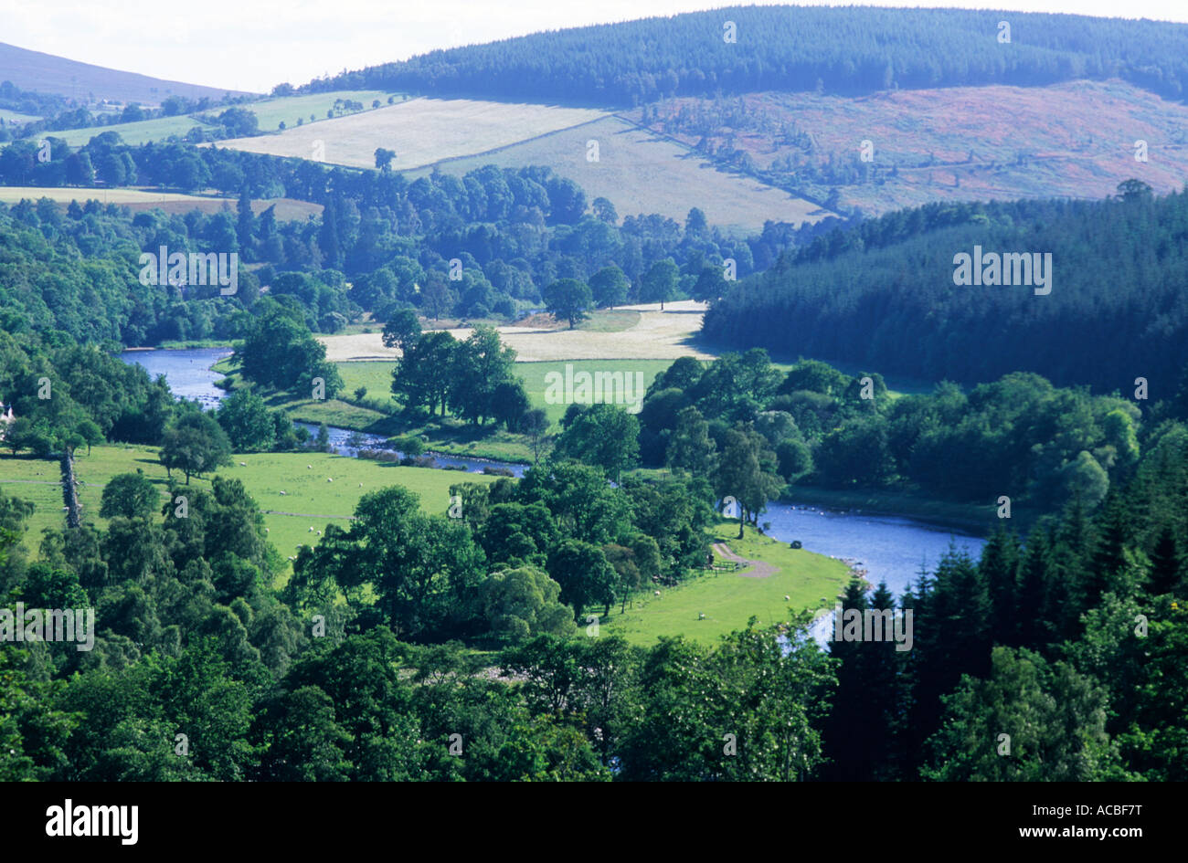 River Spey, Carron in der Nähe von Aberlour, Speyside, Schottland, UK, Landschaft, Landschaft, Reisen, Tourismus, Wald, blaues Wasser, Hügel Stockfoto