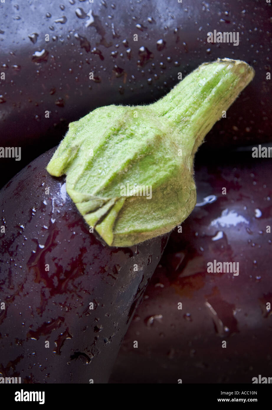 Nahaufnahme Bild von Auberginen Stockfoto