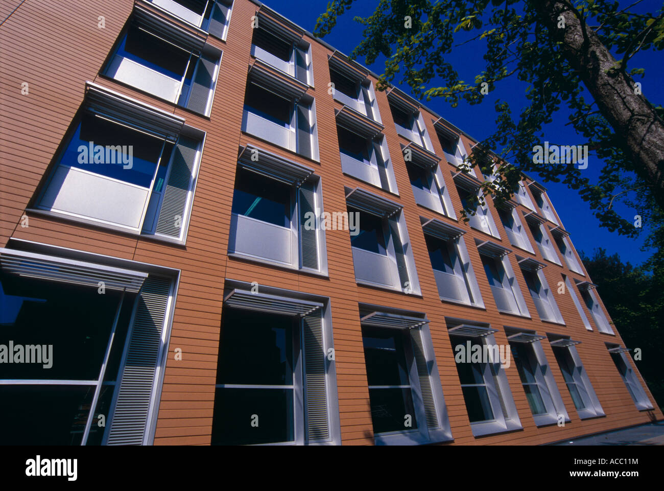 Fakultät für Englisch, Sidgwick Website, University of Cambridge Stockfoto