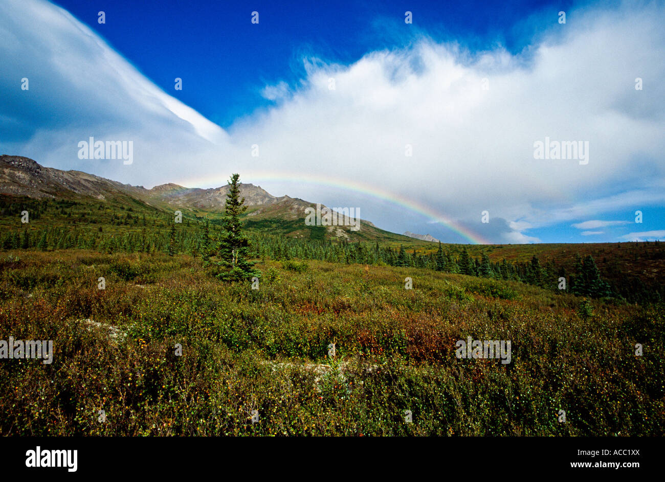 Regenbogen in die hügelige Landschaft Stockfoto