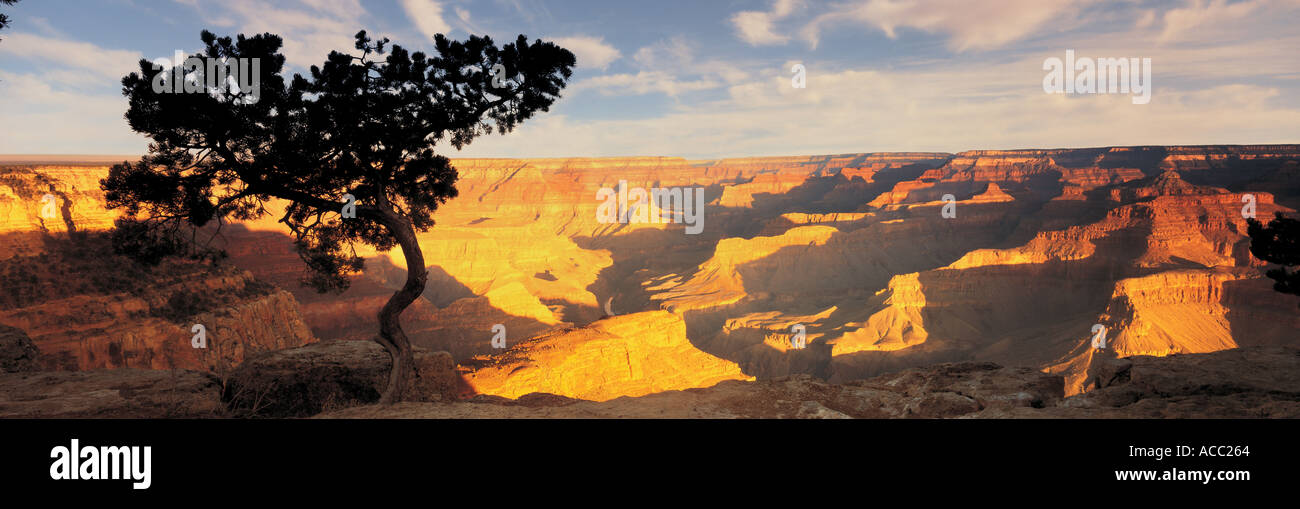 Grand Canyon-USA Stockfoto