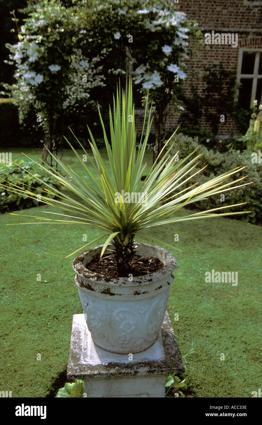 Alton Barnes Wiltshire Garten zugänglich für die Öffentlichkeit für National Garden Scheme Stockfoto