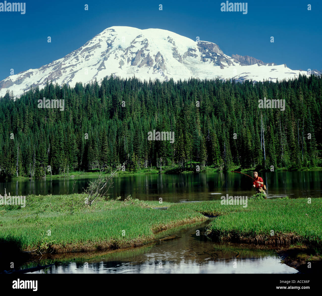 Mann Angeln Mt Rainier National Park Washington State USA Stockfoto