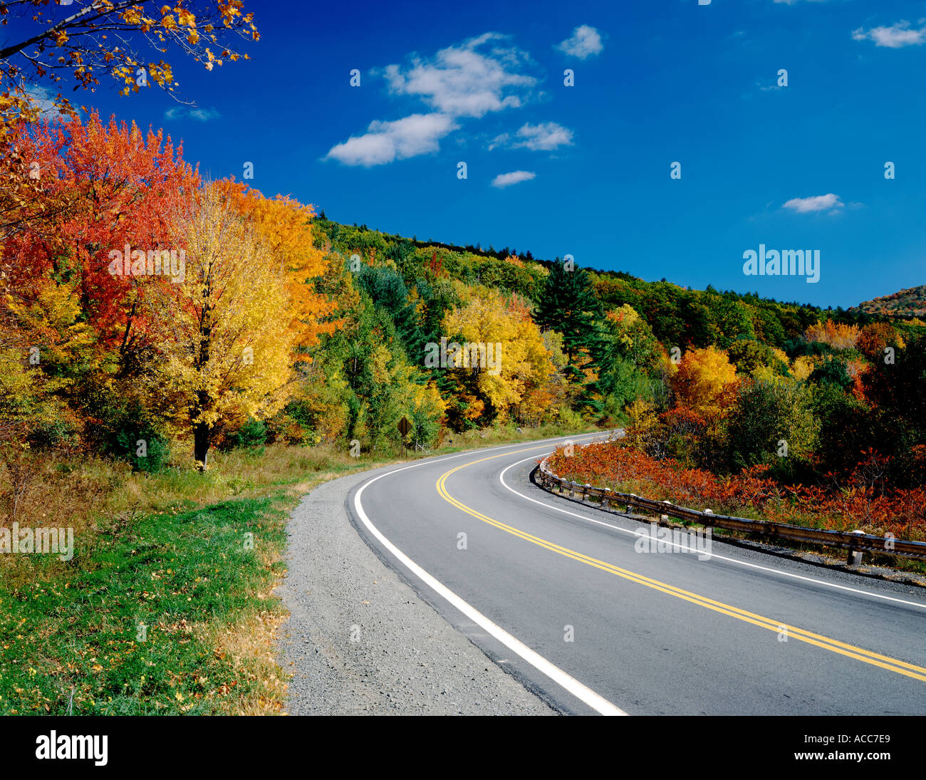 Herbstlaub ausgekleidet Highway im US-Bundesstaat New York USA Stockfoto