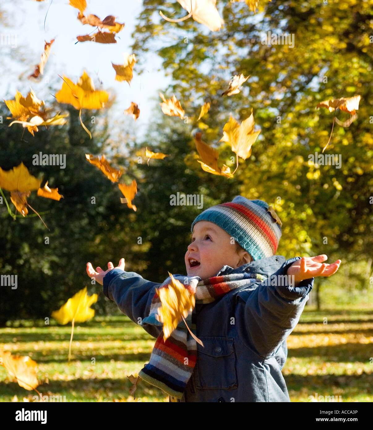 Spielen in das Herbstlaub Stockfoto