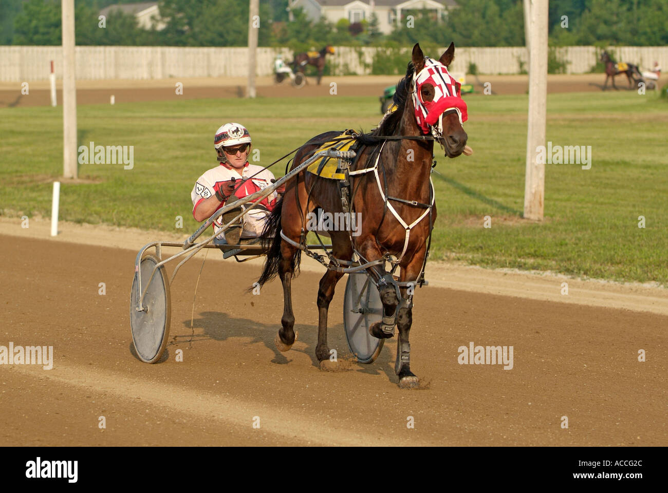Kabelbaum Trotter Pferderennen Veranstaltung an Croswell Michigan Stockfoto