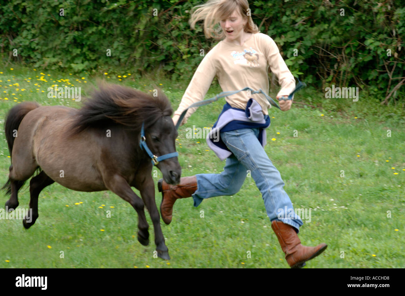 Mädchen mit Pony springen Stockfoto