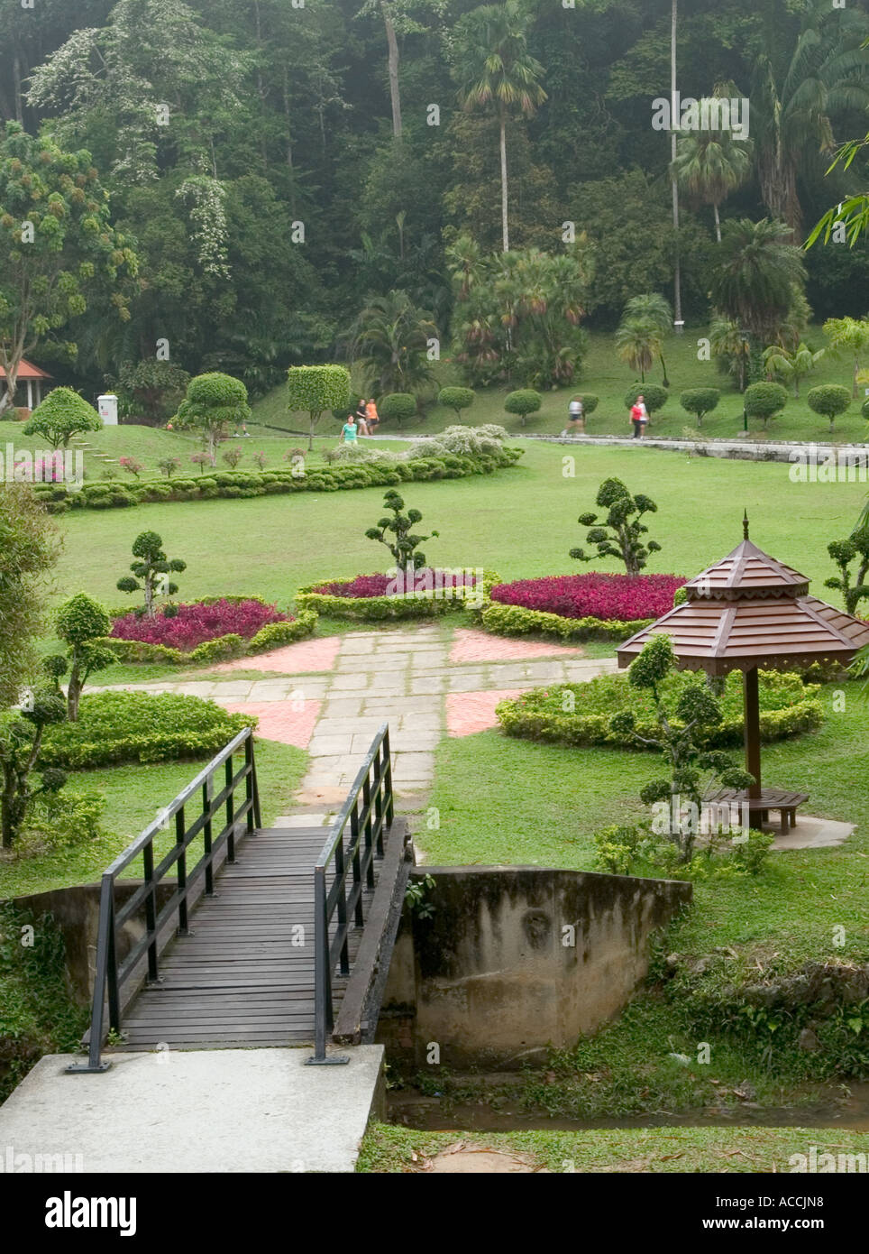Penang Botanical Garden Malaysia Stockfotos Penang Botanical