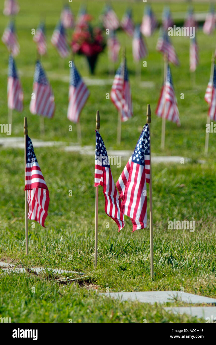 Amerikanische Flaggen auf Grabstätten der Veteranen am Memorial Day Stockfoto