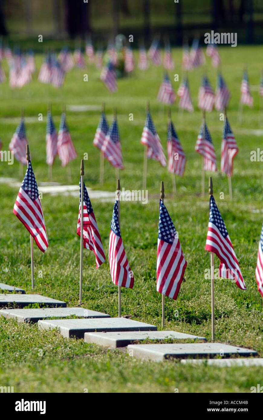 Amerikanische Flaggen auf Grabstätten der Veteranen am Memorial Day Stockfoto