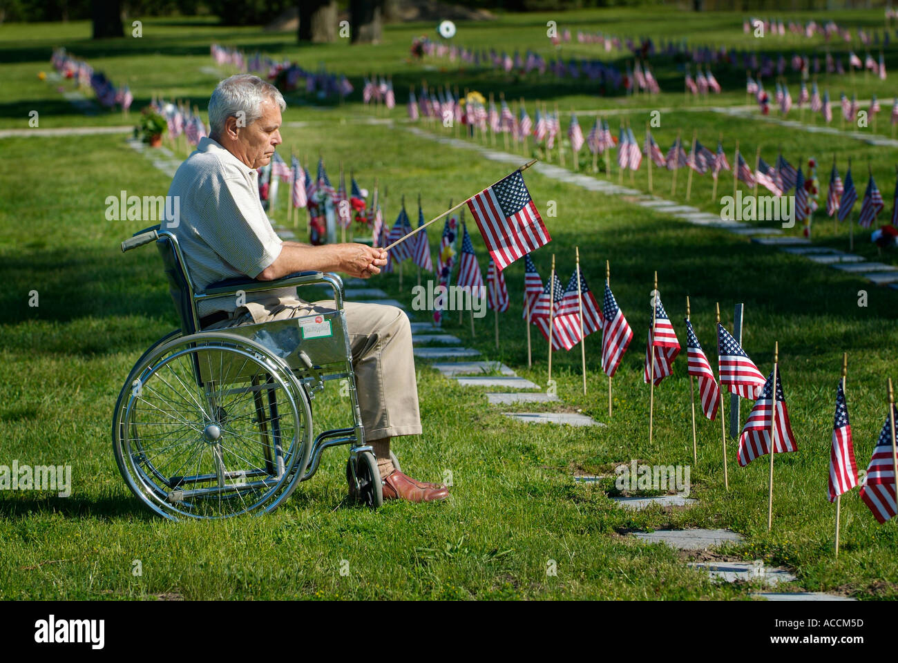 Behinderter ranghoher Militärveteran sitzt im Rollstuhl mit der Flagge, die am Memorial Day auf dem Veteranenfriedhof in der Hand ist Stockfoto