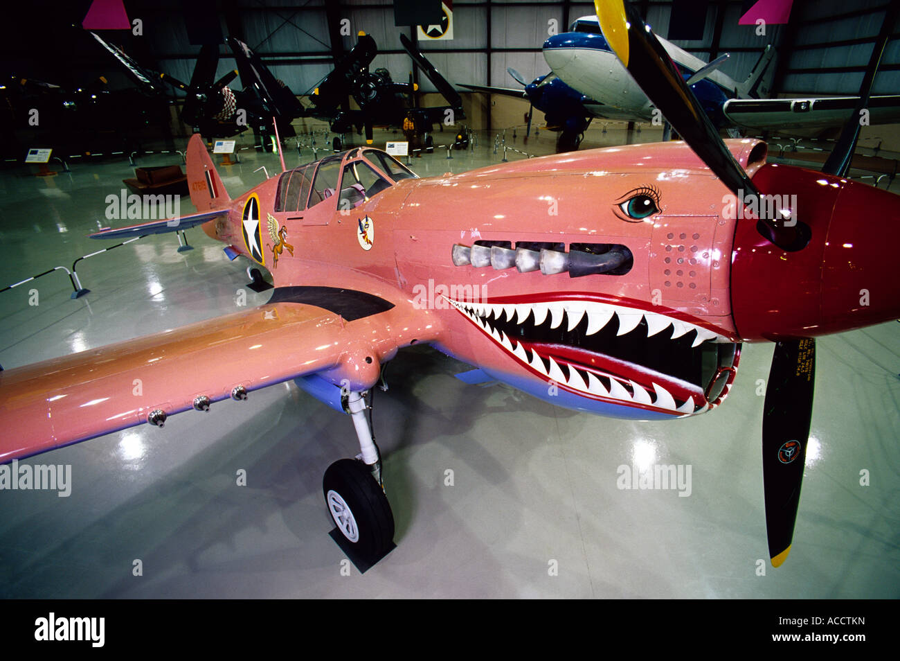 Dem zweiten Weltkrieg fliegen-Tiger, Curtis P 40N Warhawk am Kalamazoo Aviation History Museum, Kalamazoo, Michigan USA Stockfoto