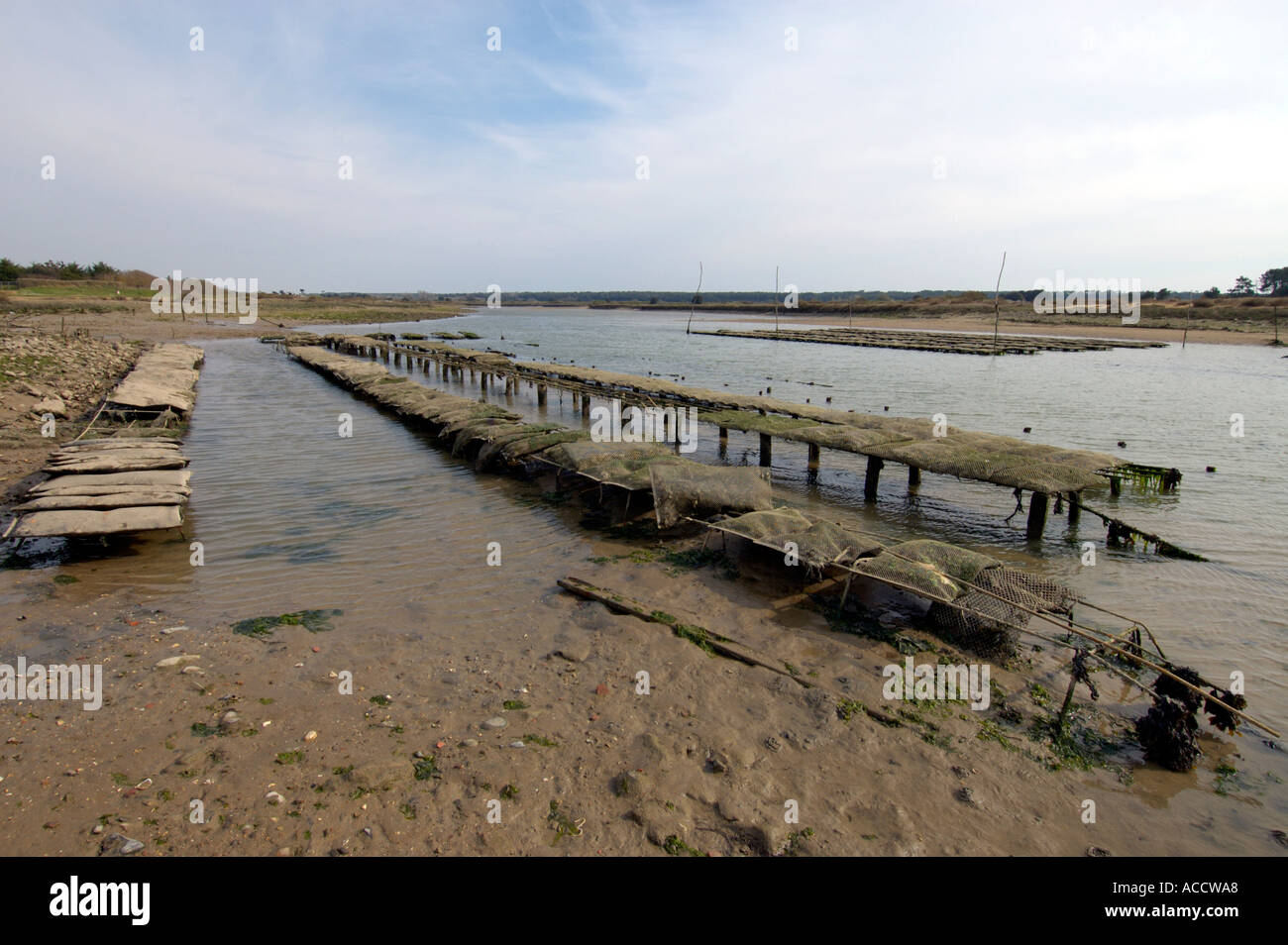 Wasserversogung für Oyster Kultur in der Nähe von Talmont Saint Hilaire Vandee Frankreich Stockfoto