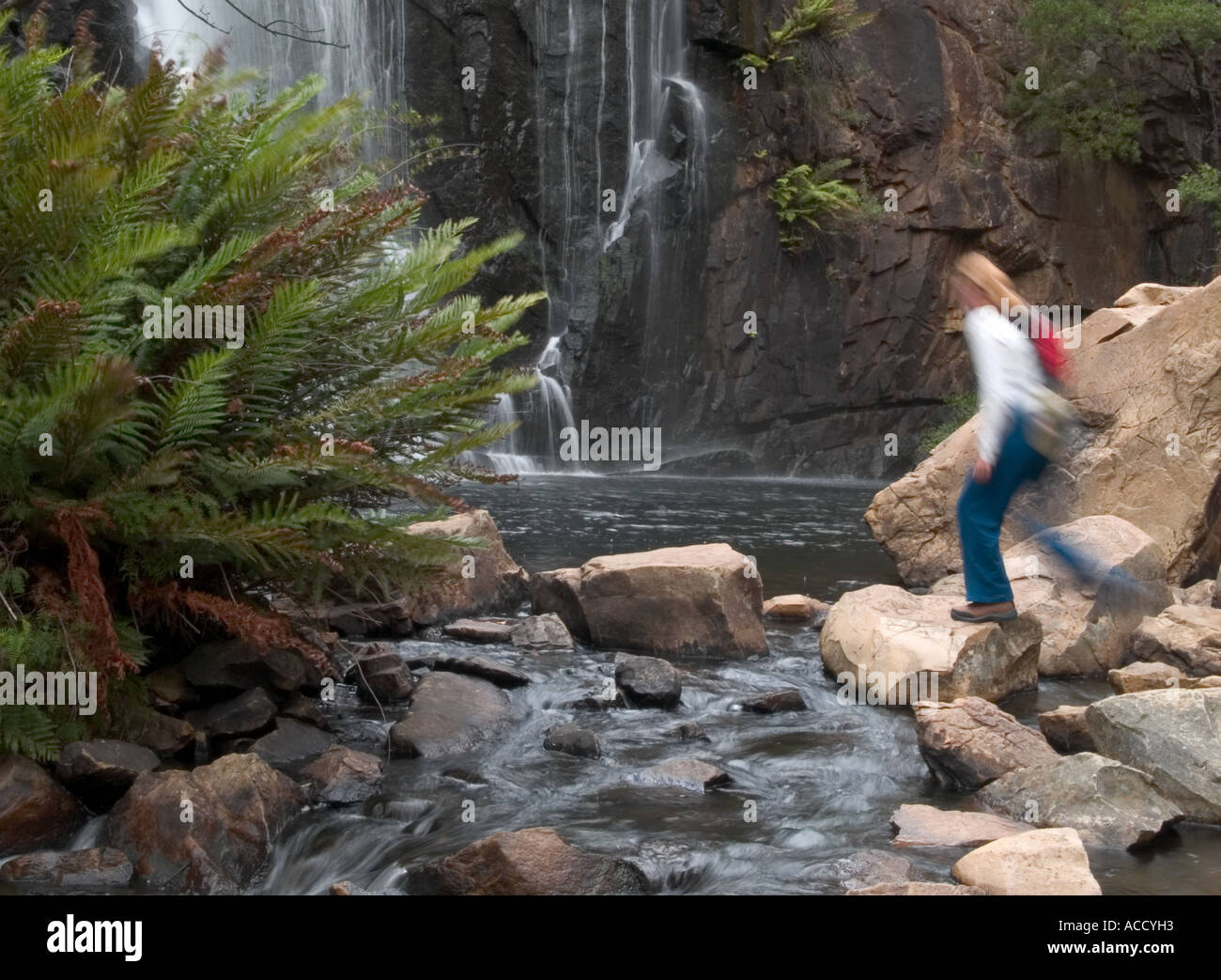 Besucher springen Rock Pool, mckenzie fällt, Halls Gap, die Grampians National Park, Victoria, Australien Stockfoto