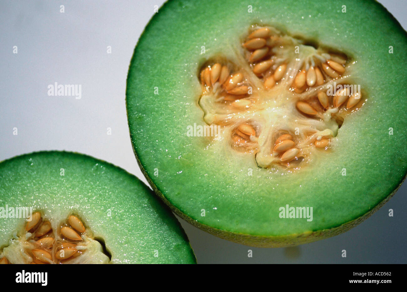 Verrechnete Melone Cucumis Melo Var reticulatus Stockfoto