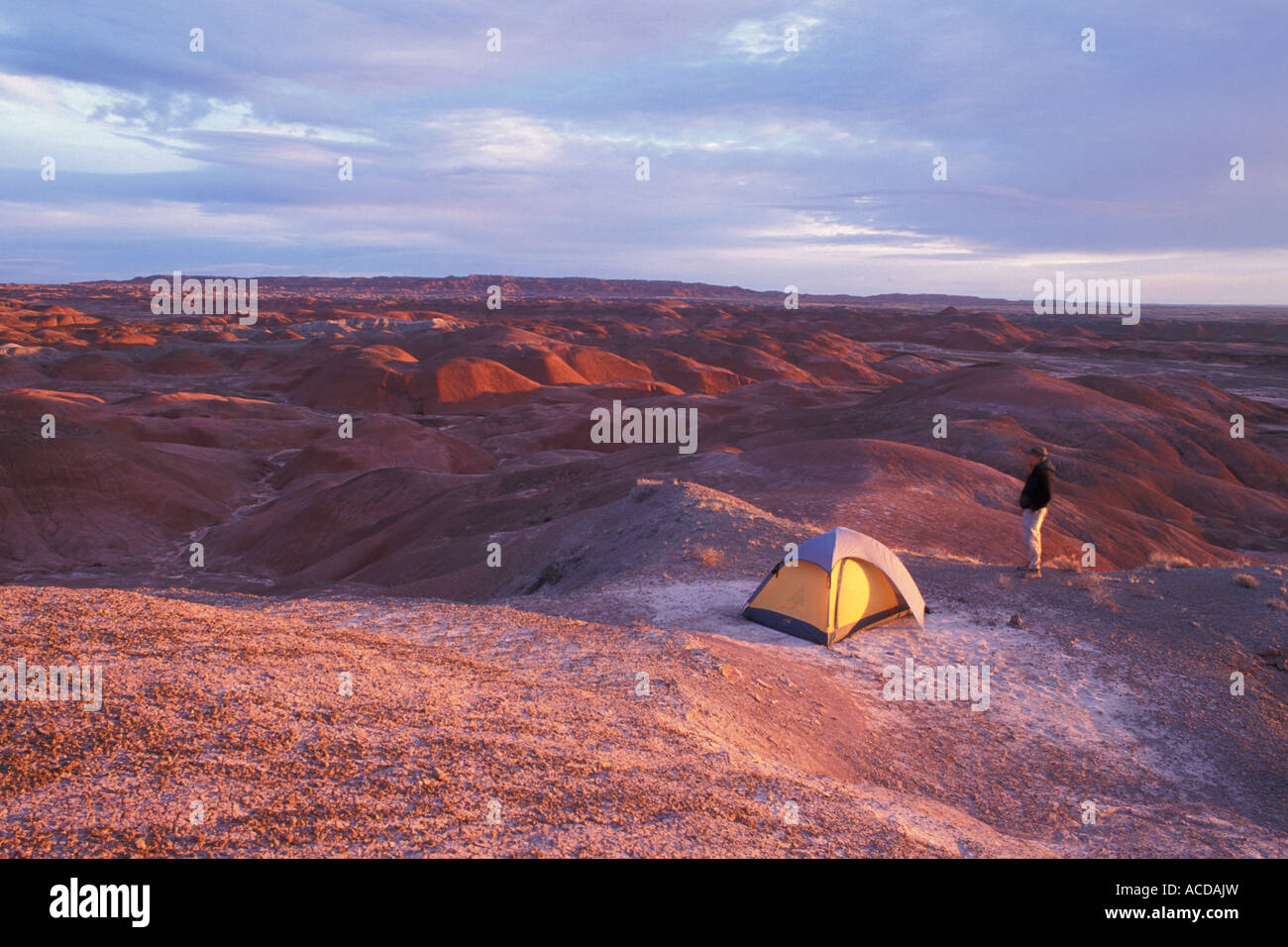 Zelten in der Painted Desert, Petrified Forest National Park, Arizona Stockfoto