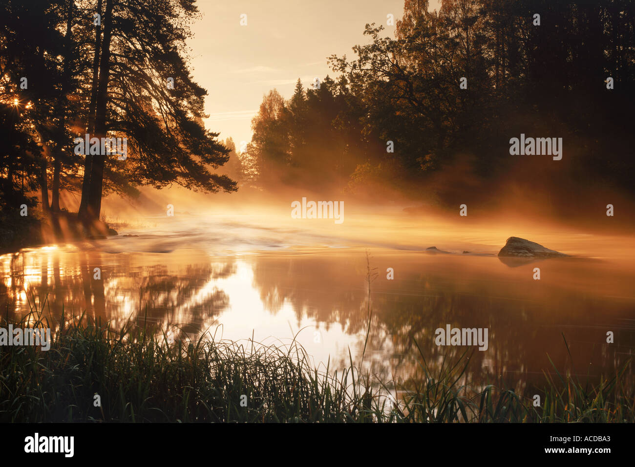 Nebligen Sonnenaufgang über Dal Fluss in Schweden Stockfoto