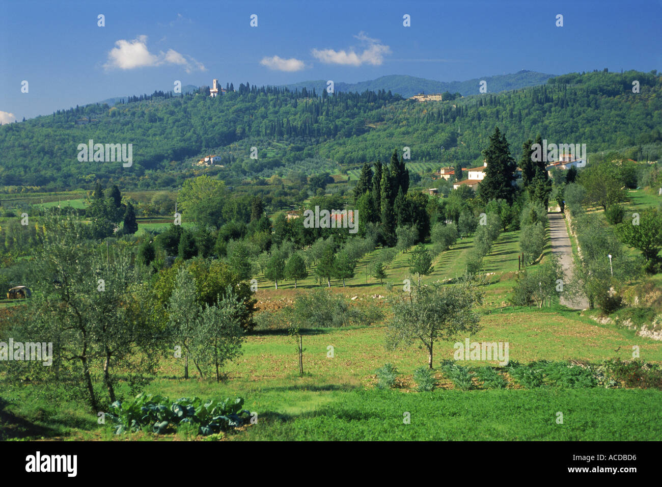 Hügelige Landschaften der Chianti-Region der Toskana Italien Stockfoto