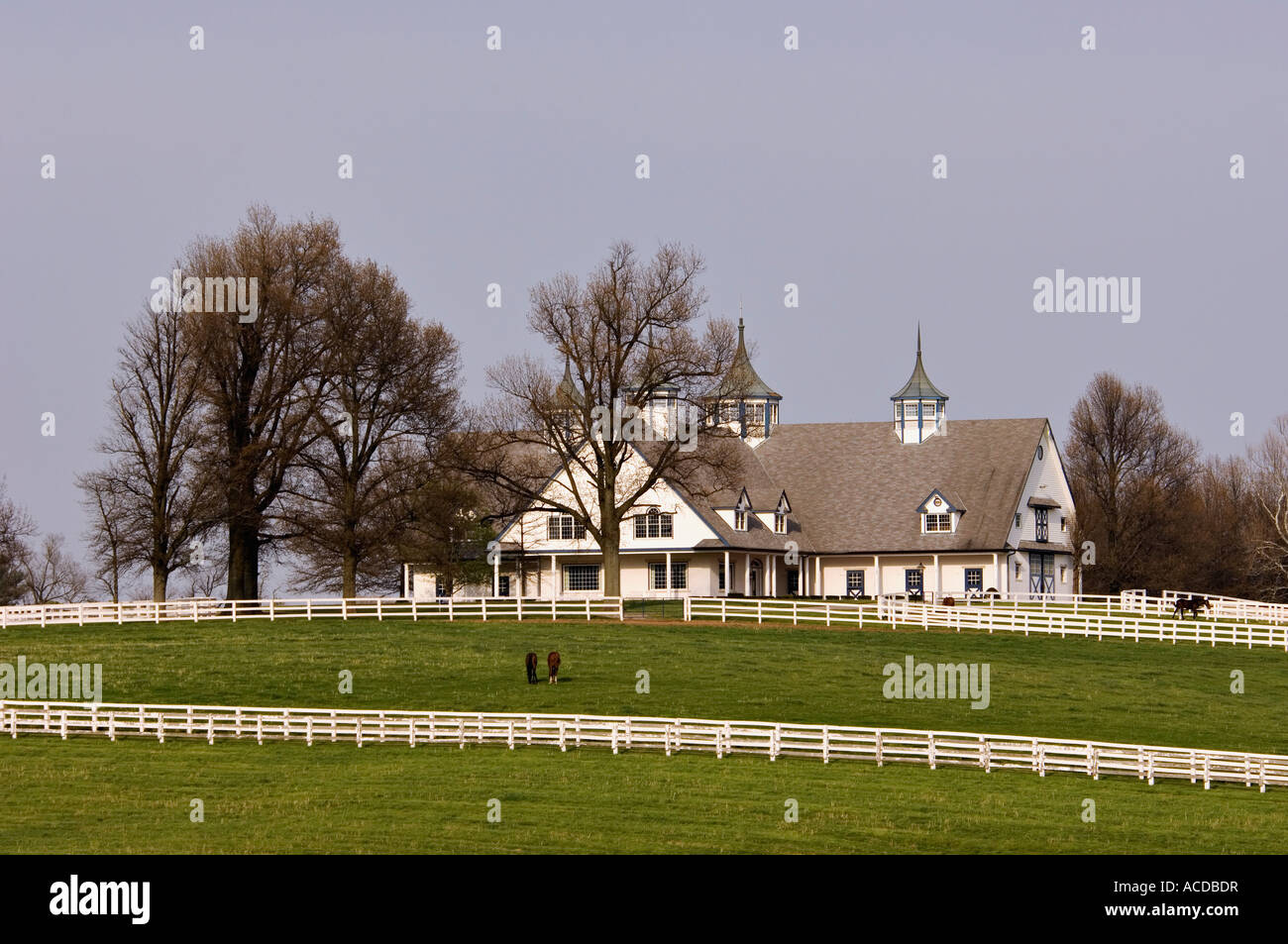 Pferde weiden auf den Manchester-Farm in der Nähe von Lexington, Kentucky Stockfoto