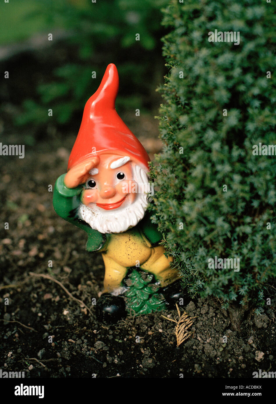 Eine Nahaufnahme der Gartenzwerg. Stockfoto