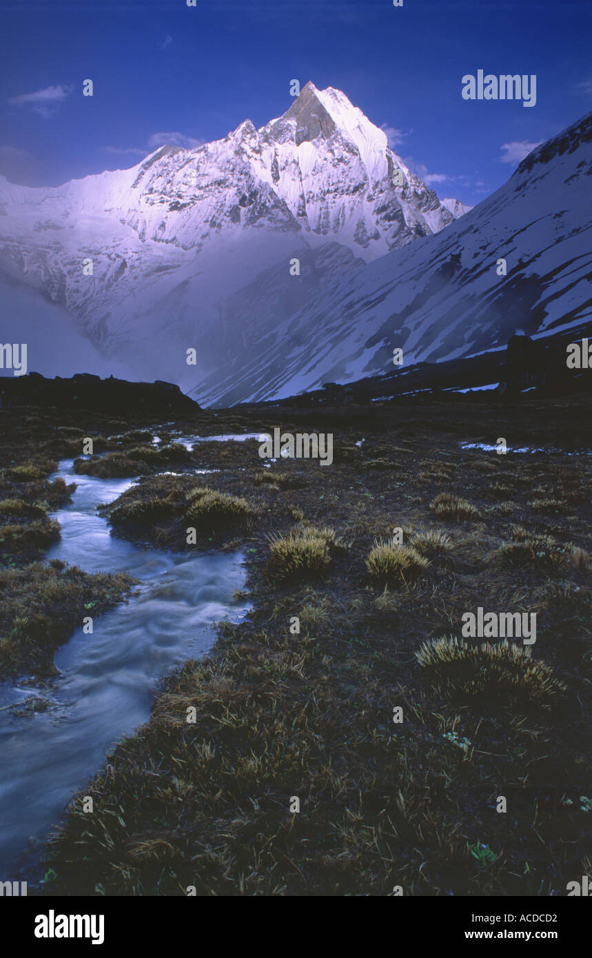 Stream unter Machapuchare im Himalaya Nepal Annapurna Sanctuary Stockfoto