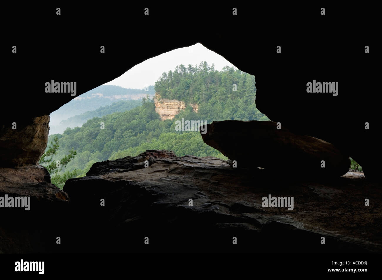 Wildnis-Blick aus Fenster in Höhle auf Felswand Cloud Splitter Red River Gorge geologischen Gebiet Kentucky Stockfoto