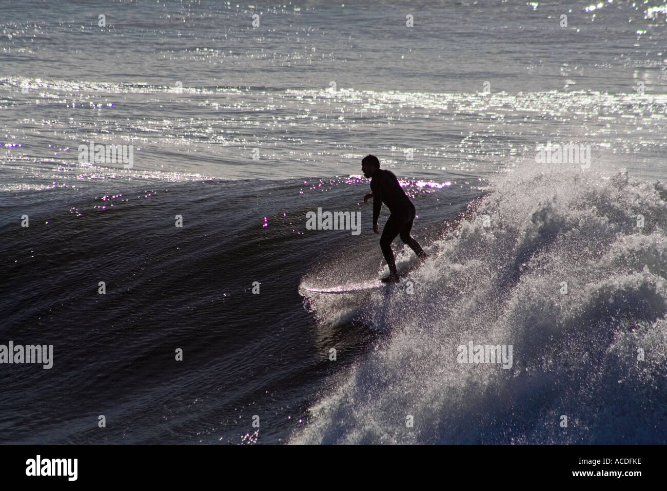 Santa Cruz Surfer Stockfoto
