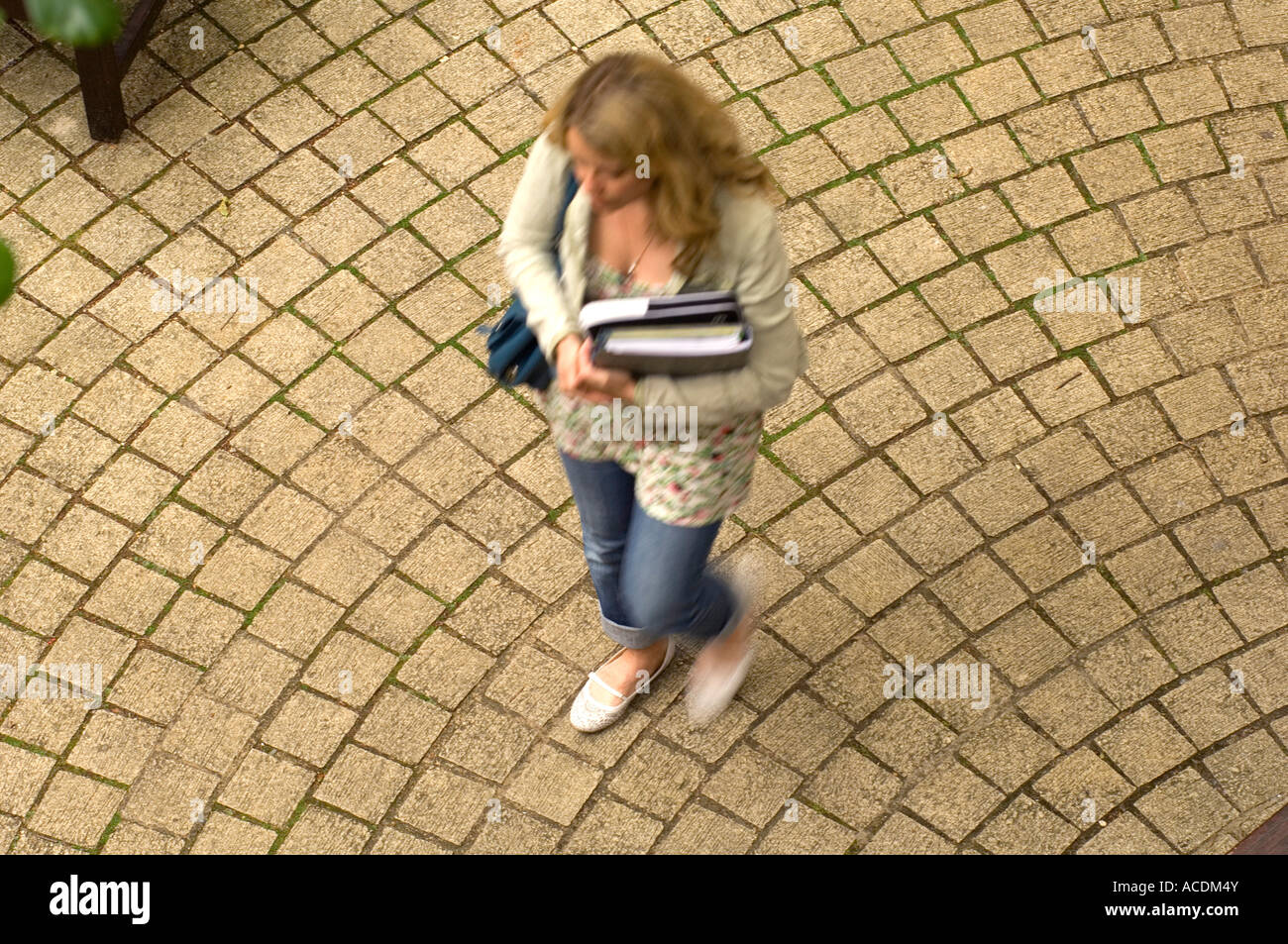 Ein Student Traveses das Quad von der anhaltenden Ed., Abteilung an der Universität Oxford Stockfoto