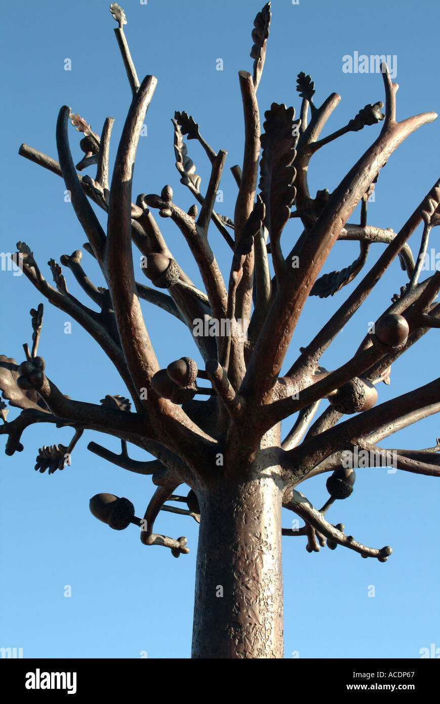 Die Befreiung-Baum in der Nähe von Elizabeth Marina St. Helier Jersey Channel Islands Stockfoto