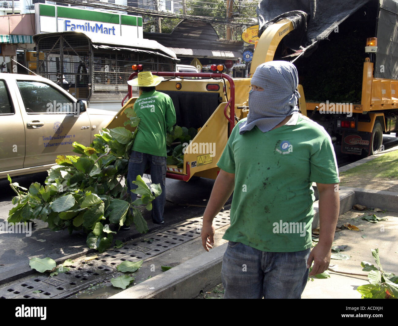 Baum zu schreddern und Straße Wartung Crew an der Beach Road in Pattaya Thailand Stockfoto