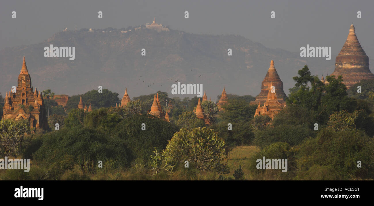Myanmar-Burma-Bagan archäologische Zone mehr als 4000 Tempel in einer Kurve der Ayeyarwady Fluss Ansicht aus der Ferne aus einer Reihe von templ Stockfoto