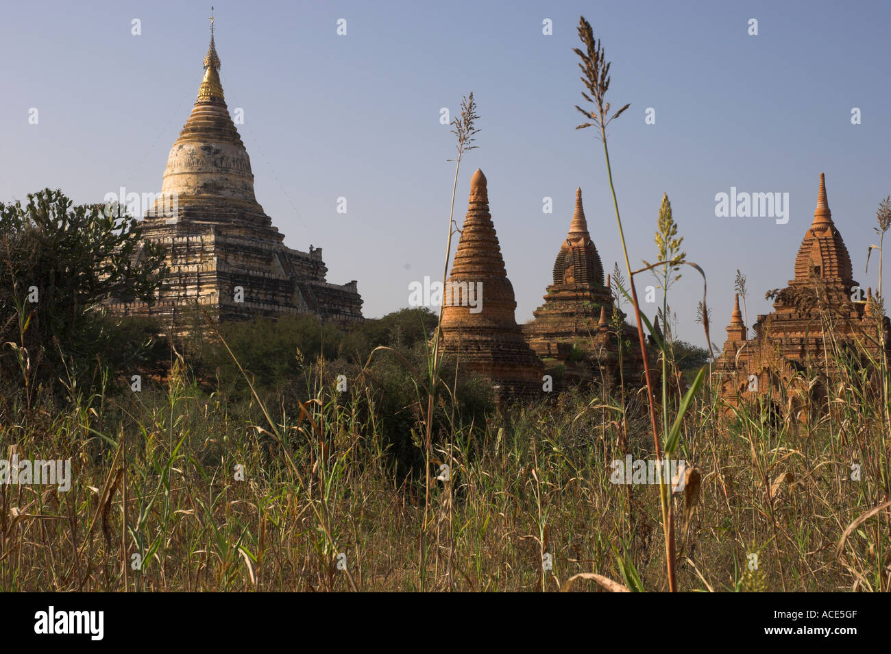 Myanmar-Burma-Bagan archäologische Zone mehr als 4000 Tempel in einer Biegung des Arbeitskreises Ayeyarwady Fluss des Tempels Stupas gesehen thro Stockfoto