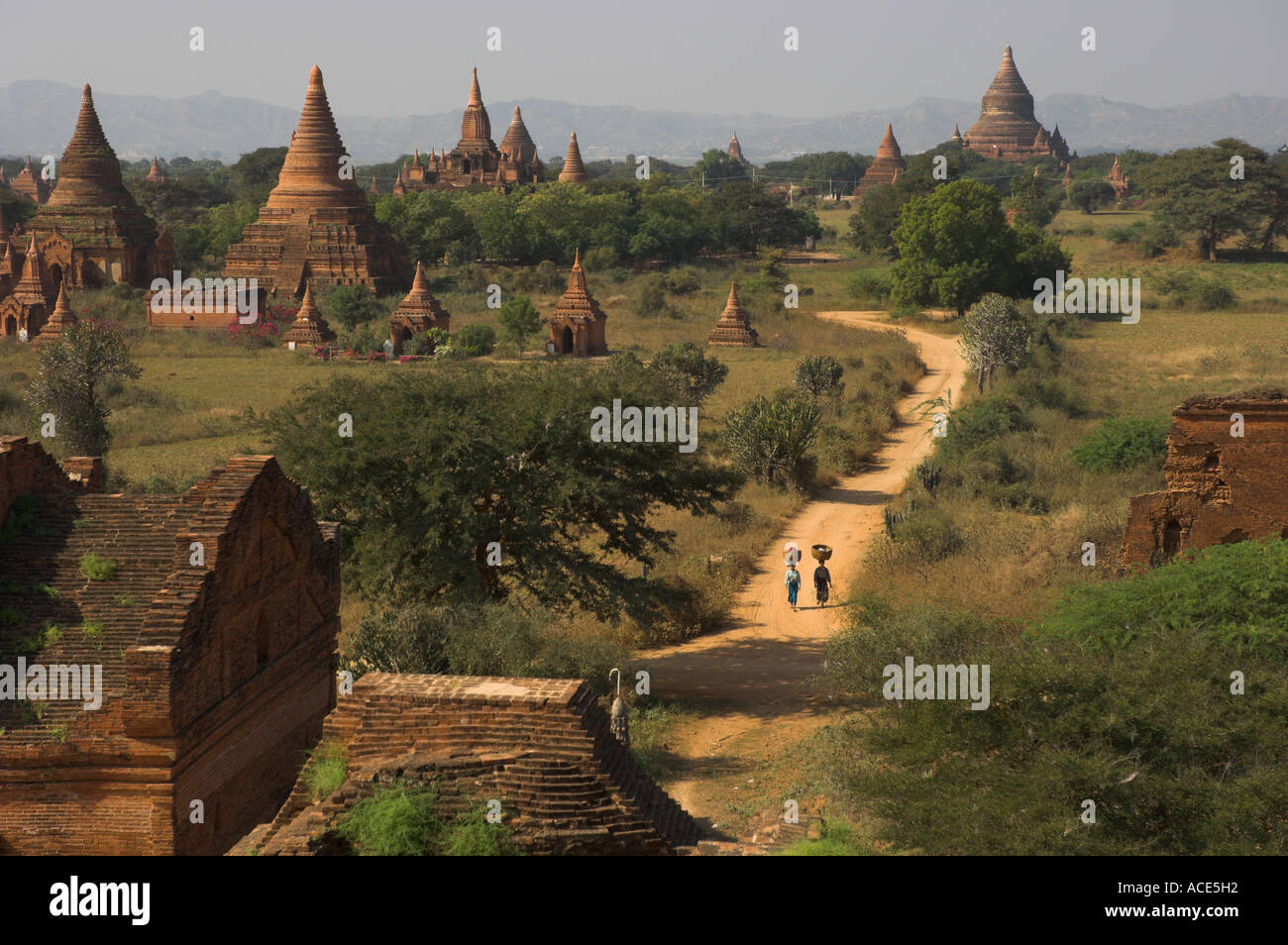 Myanmar-Burma-Bagan archäologische Zone mehr als 4000 Tempel in einer Biegung des Flusses Ayeyarwady erhöhten Blick vom Shwesandaw pa Stockfoto