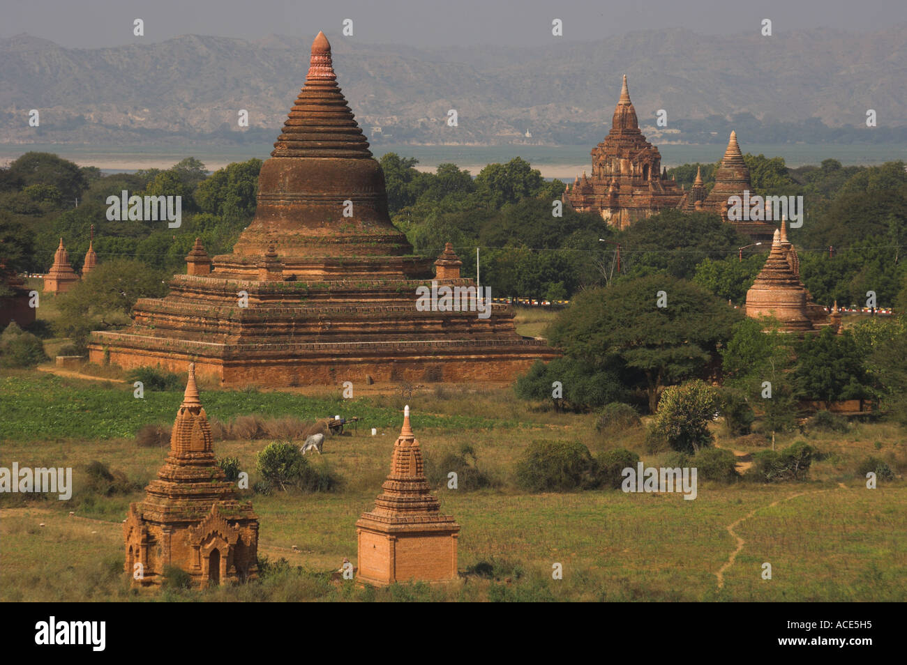 Myanmar-Burma-Bagan archäologische Zone mehr als 4000 Tempel in einer Biegung des Flusses Ayeyarwady erhöhte Ansicht der Tempel von Sh Stockfoto