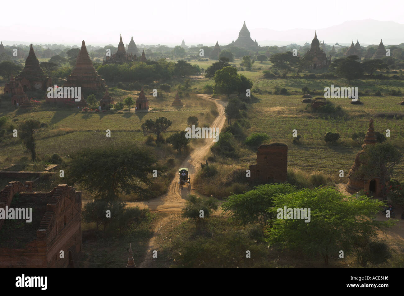 Myanmar-Burma-Bagan archäologische Zone mehr als 4000 Tempel in einer Biegung des Flusses Ayeyarwady erhöhte Ansicht der Tempel von Sh Stockfoto